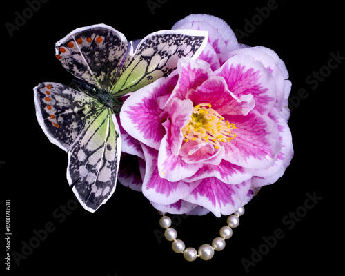 butterfly, camellia and pearls