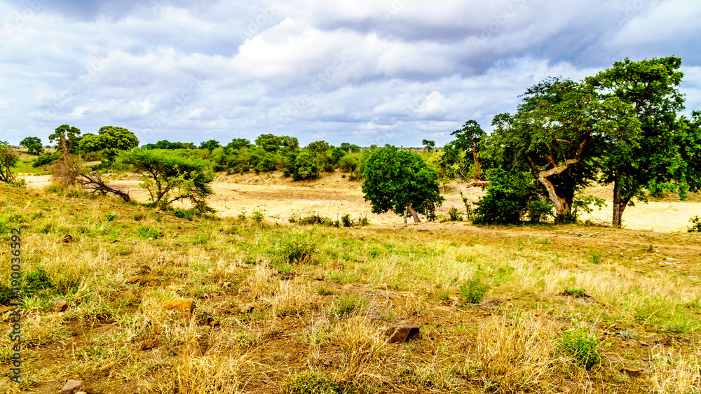 The completely dry N'waswitsontso River in central Kruger National Park