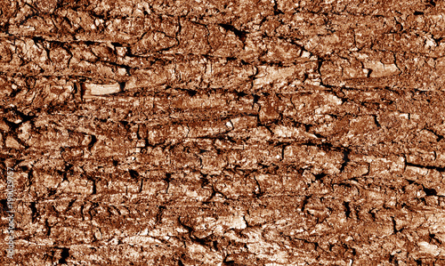 Tree bark texture in brown tone.