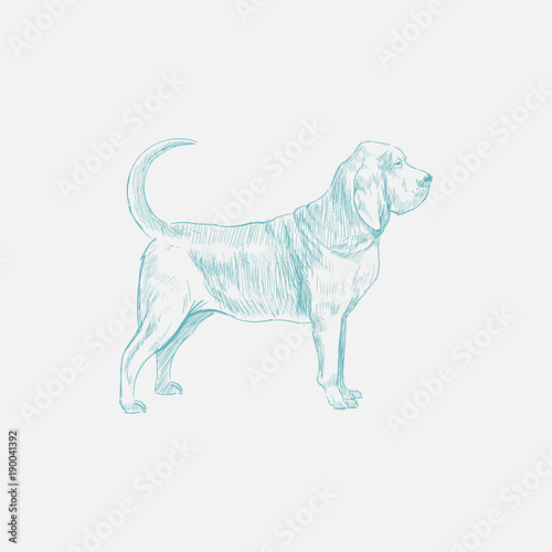 Billede på lærred Illustration drawing style of dog
