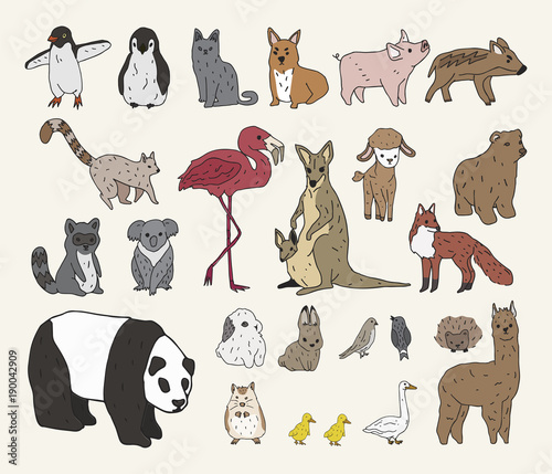 Fototapeta Naklejka Na Ścianę i Meble -  Vector of various types of animals