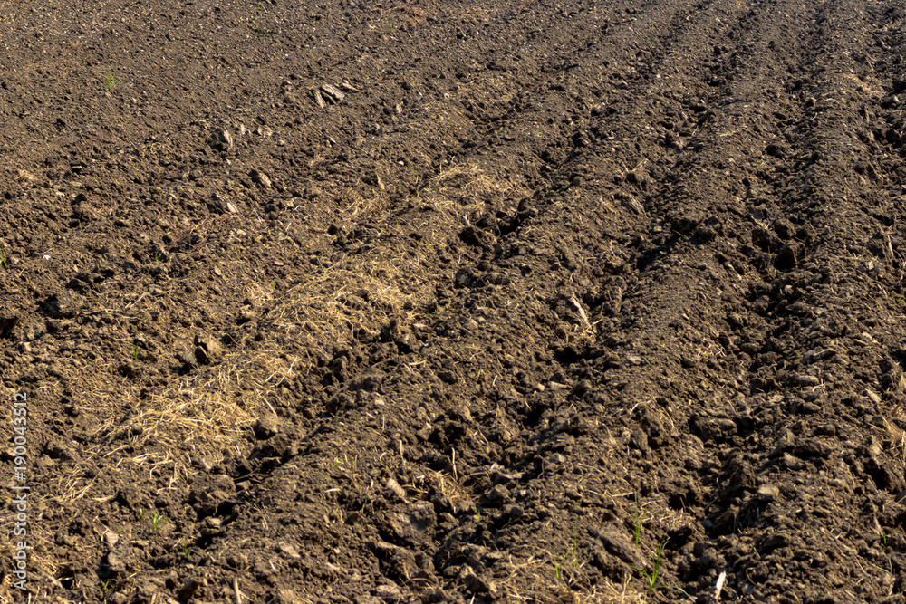 The soil is being prepared for plant,