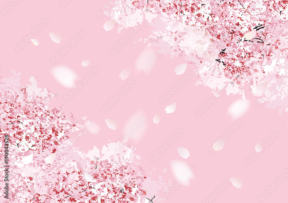 桜フル斜め ピンクベタ 桜フル斜め ピンクベタ