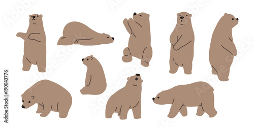 Bear vector polar bear icon logo teddy cartoon character illustration photo