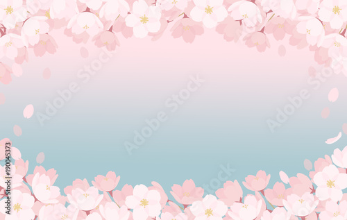 春・桜の背景素材