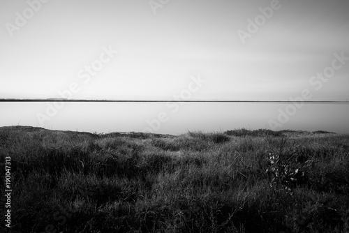 Grass and water mono