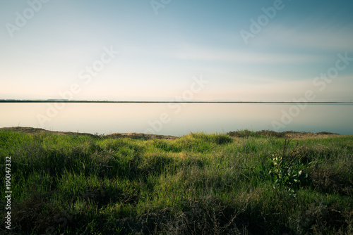 Grass and water