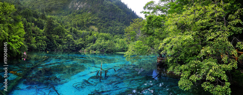 Canvas Print view of colorful lake in jiuzhaigou national park, Sichuan, china