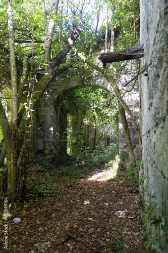 ruins in forest old Ferriere in roccamonfina park photo