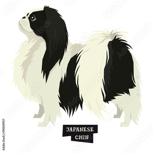 Dog collection Japanese Chin Geometric style Isolated object