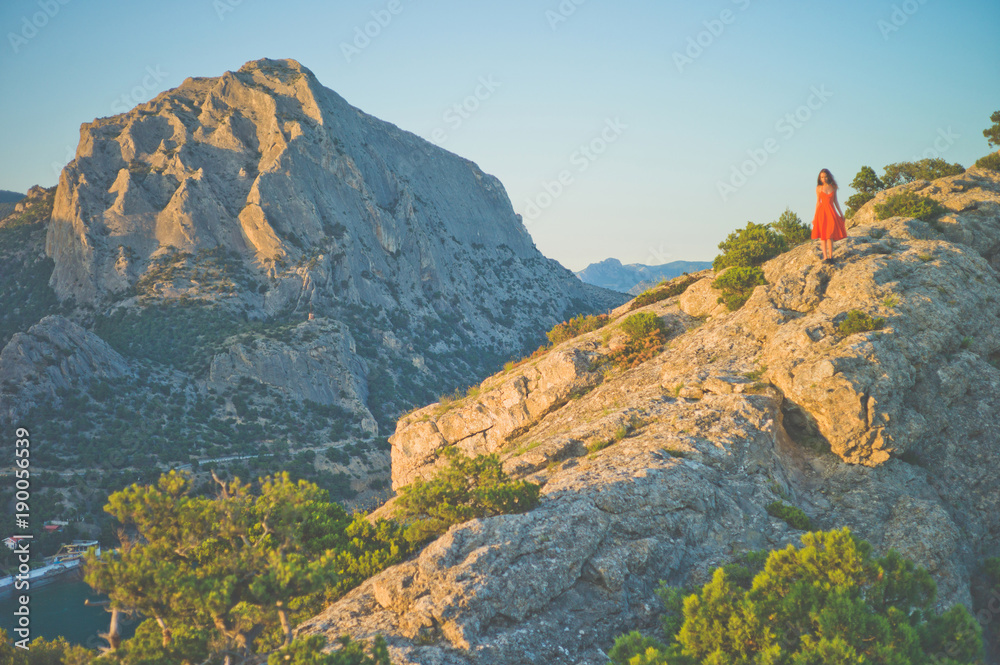 Obraz premium Woman in red dress walking on rock