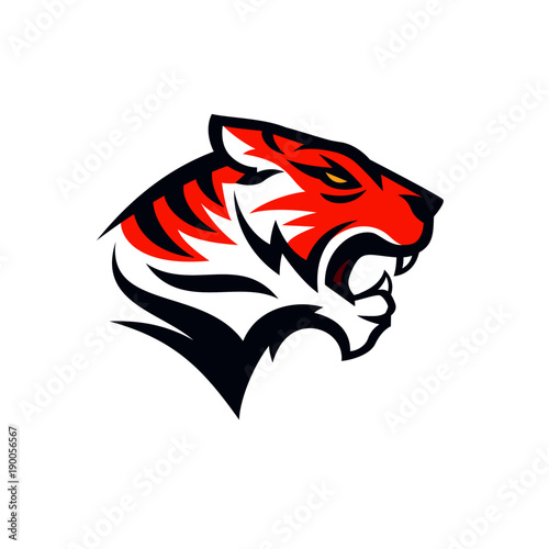 tigers logo design vector