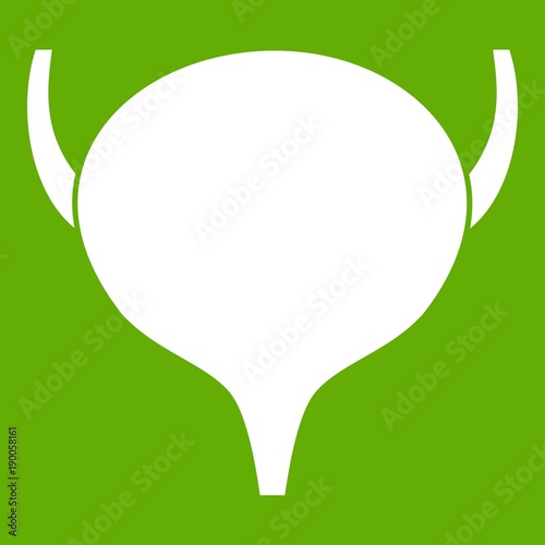 Bladder icon green