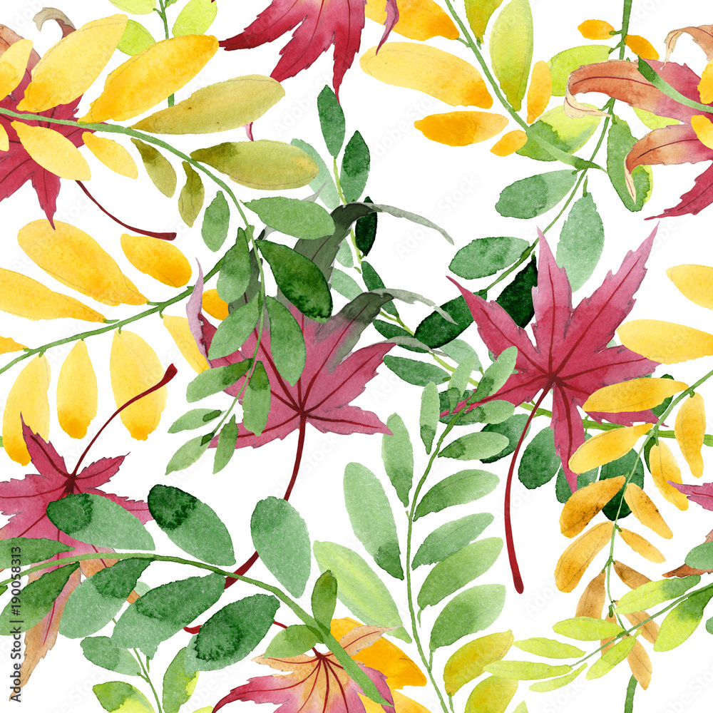 Autumn leaf of acacia pattern in a hand drawn watercolor style. Aquarelle acorn for background, texture, wrapper pattern, frame or border. Autumn leaf of acacia pattern in a hand drawn watercolor style. Aquarelle acorn for background, texture, wrapper pattern, frame or border.