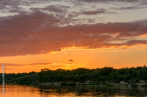 Fototapeta Naklejka Na Ścianę i Meble -  Paragliding in the sky at sunset.