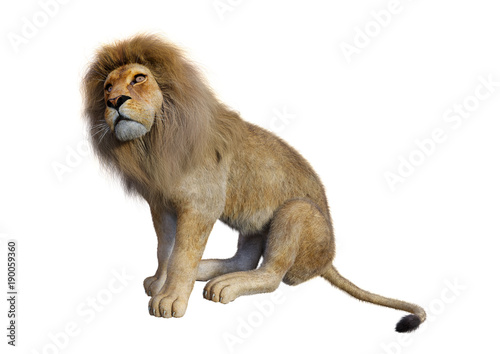 Fototapeta Naklejka Na Ścianę i Meble -  3D Rendering Male Lion on White