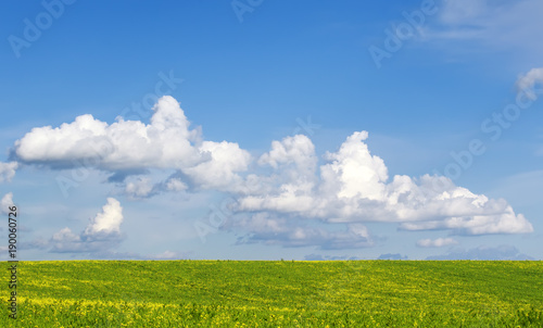 natural rural background with lush green flowery meadows, a bright blue sky a...
