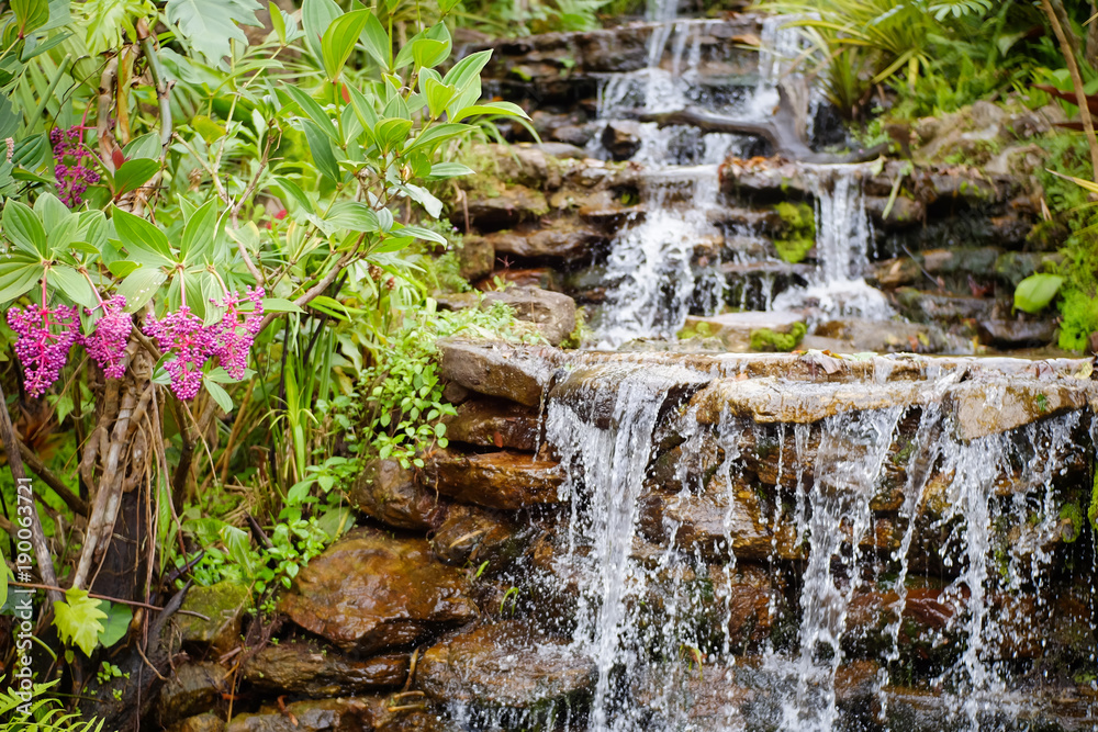 Fototapeta premium Small waterfalls in nature are refreshing.