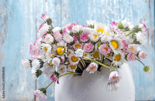 Fototapeta Naklejka Na Ścianę i Meble -  Alle Liebe, Glückwunsch, Danke: Strauß aus Gänseblümchen in kleiner Vase :)