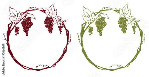 Frame from grapes / Vector illustration, set floral design element
