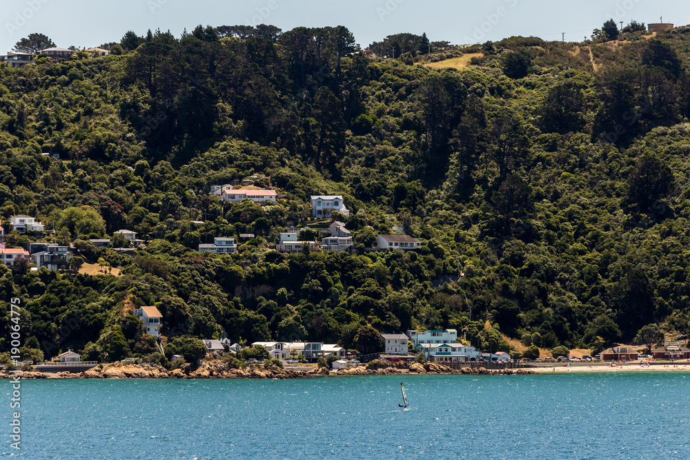 Wellington waterfront, Scorching bay, north island of New Zealand