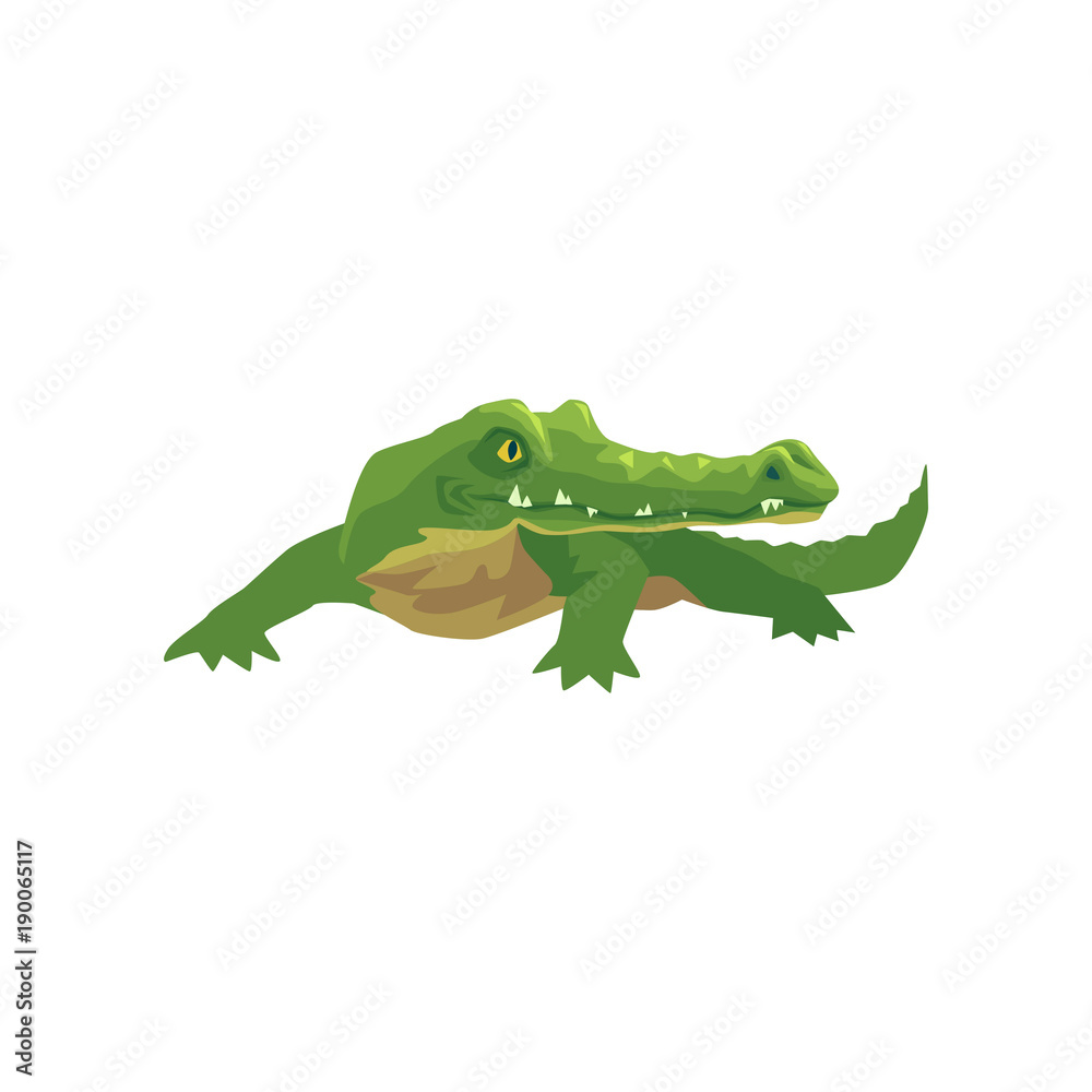 Fototapeta premium Krokodyl, płazów kreskówka wektor ilustracja