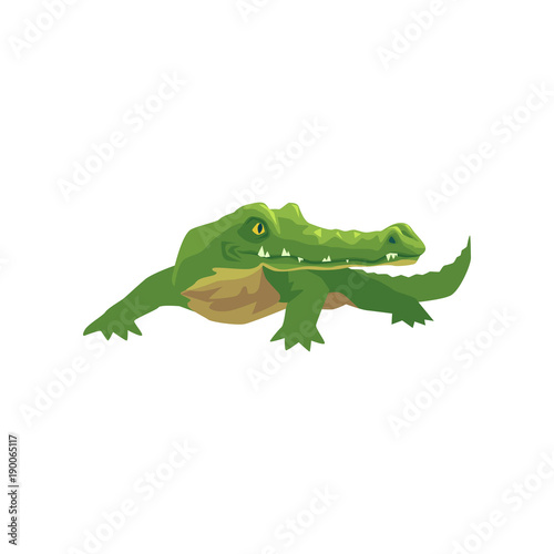 Crocodile, amphibian animal cartoon vector Illustration