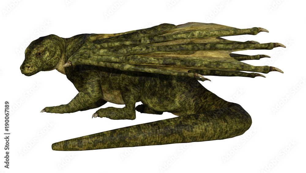 3D Rendering Fantasy Dragon on White 3D Rendering Fantasy Dragon on White