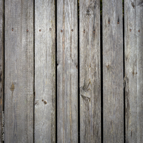 Wallpaper Mural The old wood texture with natural patterns Torontodigital.ca