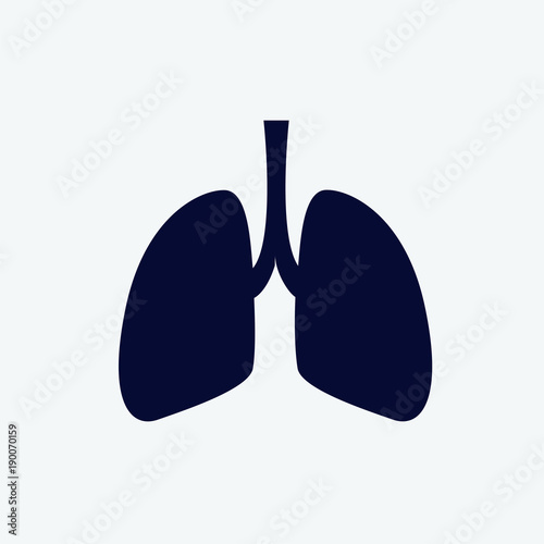 lungs icon, Vector illustration. organ icon vector