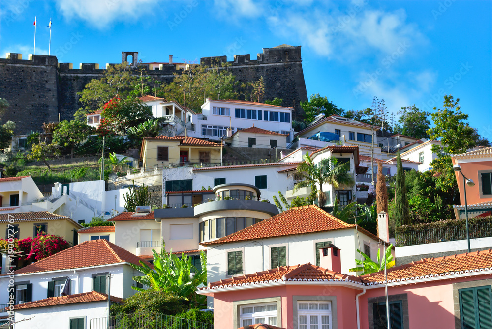 Funchal, looking up the hill