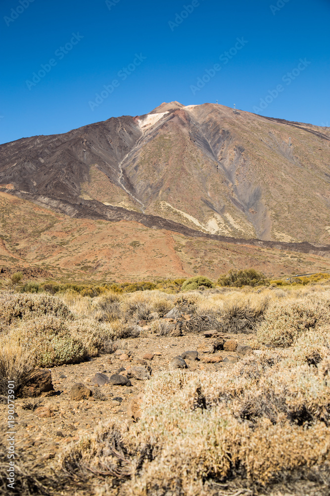 Teide National Park, Tenerife, Canary Islands - A picturesque view of the colourful Teide volcano, or in spanish 'Pico del Teide'. The tallest peak in Spain with an elevation of 3718 m Teide National Park, Tenerife, Canary Islands - A picturesque view of the colourful Teide volcano, or in spanish 'Pico del Teide'. The tallest peak in Spain with an elevation of 3718 m