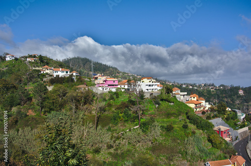 Madeira in fall  © marko