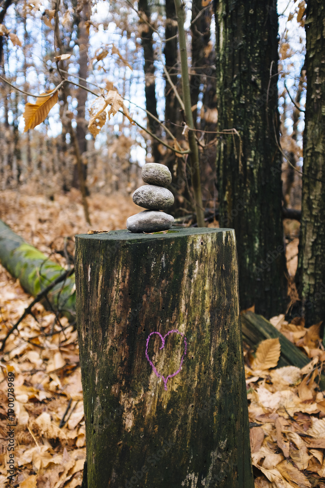 heart drawn above trunk with three stones at the top, in the woods, heart drawn above trunk with three stones at the top, in the woods,