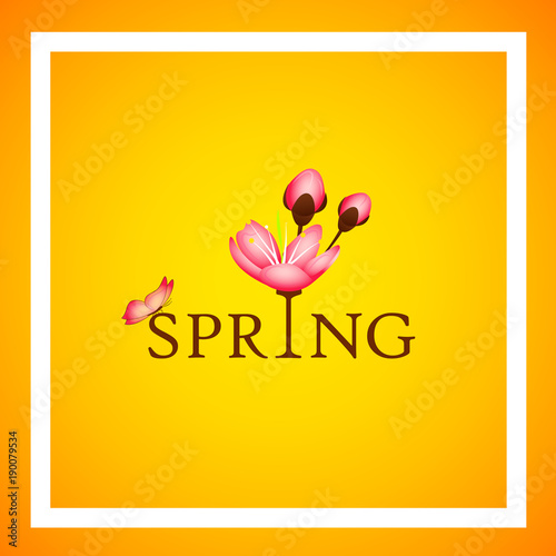 spring schriftzug kirschblüte und schmetterling