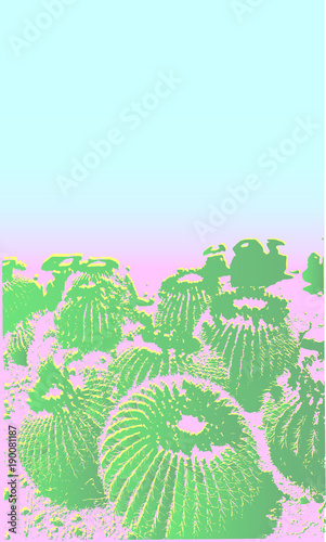 sukkulente, cactus, kaktus, kakteen, blüte, frucht, palme, palmblatt, blätter, stachel, wüste, californien, mexiko, süden, sommer, western, silhouette, pastell, farben, hell, licht, fleischig, wasser,