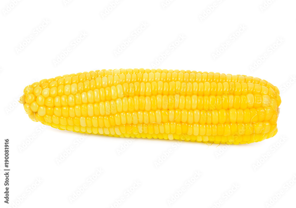 corn isolated on white background corn isolated on white background