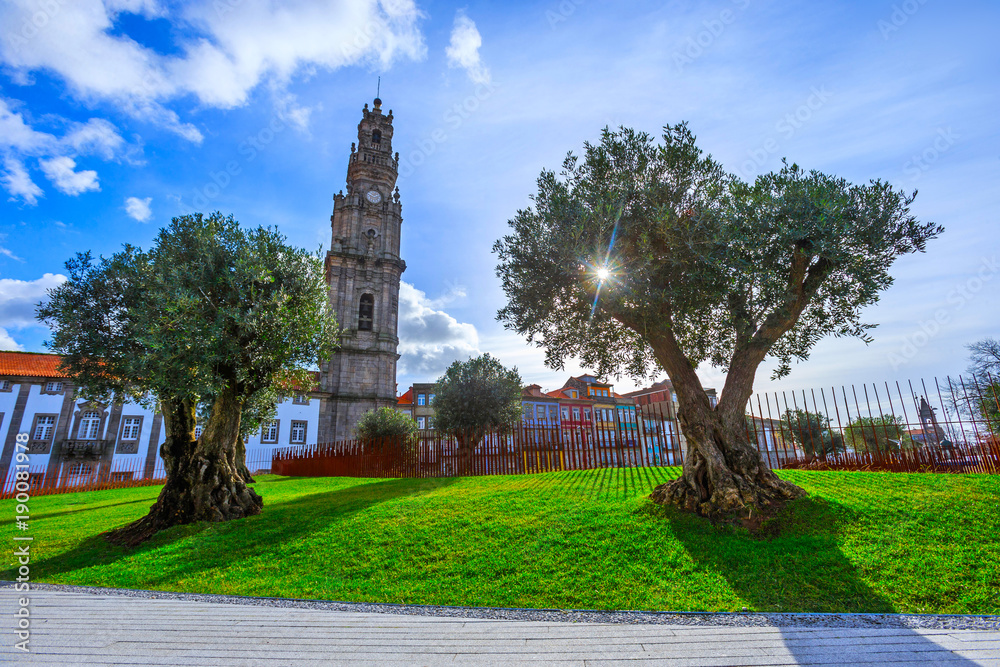 Bell tower of the Clerigos Church (Church of the Clergymen), a baroque church in backlit winter sunbeam. Old olive trees and green grass lawn on foreground. City of Porto, in Portugal.