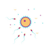 human cell ovum and sperm