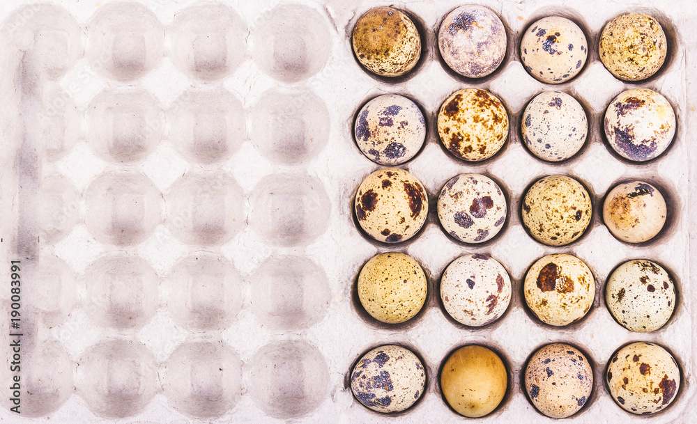 Fresh quail eggs in cardboard box. Useful organic products. Ovo-vegetarian diet. Copy space. Fresh quail eggs in cardboard box. Useful organic products. Ovo-vegetarian diet. Copy space.