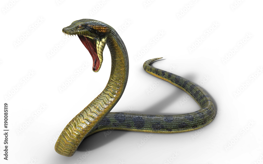 Naklejka premium 3d Illustration Anaconda, Boa Constrictor The World's Biggest Venomous Snake Isolated on White Background, 3d Rendering