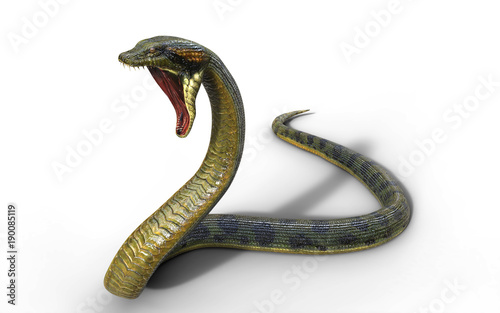 3d Illustration Anaconda, Boa Constrictor The World's Biggest Venomous Snake Isolated on White Background, 3d Rendering photo