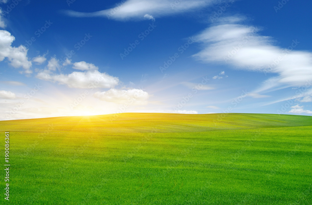 Green field and sun.