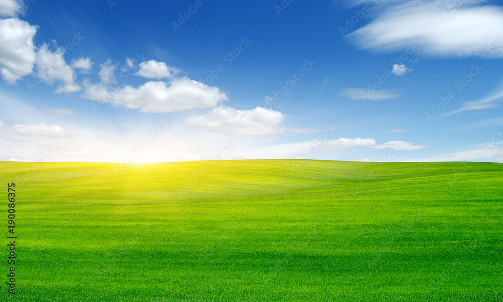 Green field and sun.