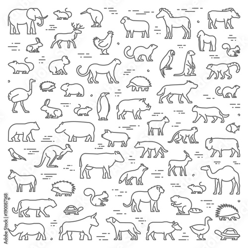Vector line concept for american, african and australian animals