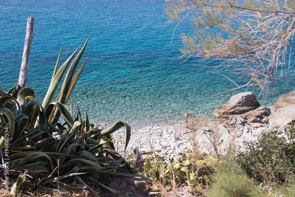 Isola d'Elba turquoise sea and mediterranean vegetation, Elba Island, italy.