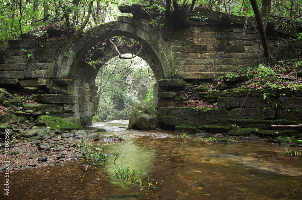 Fototapeta premium ruiny starożytnego mostu w lesie