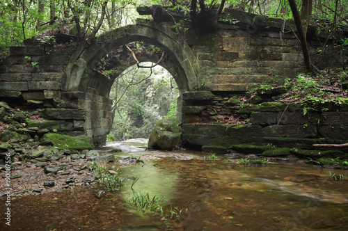 Canvas Print ruins of an ancient bridge in the forest
