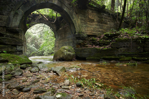 Canvas Print ruins of an ancient bridge in the forest