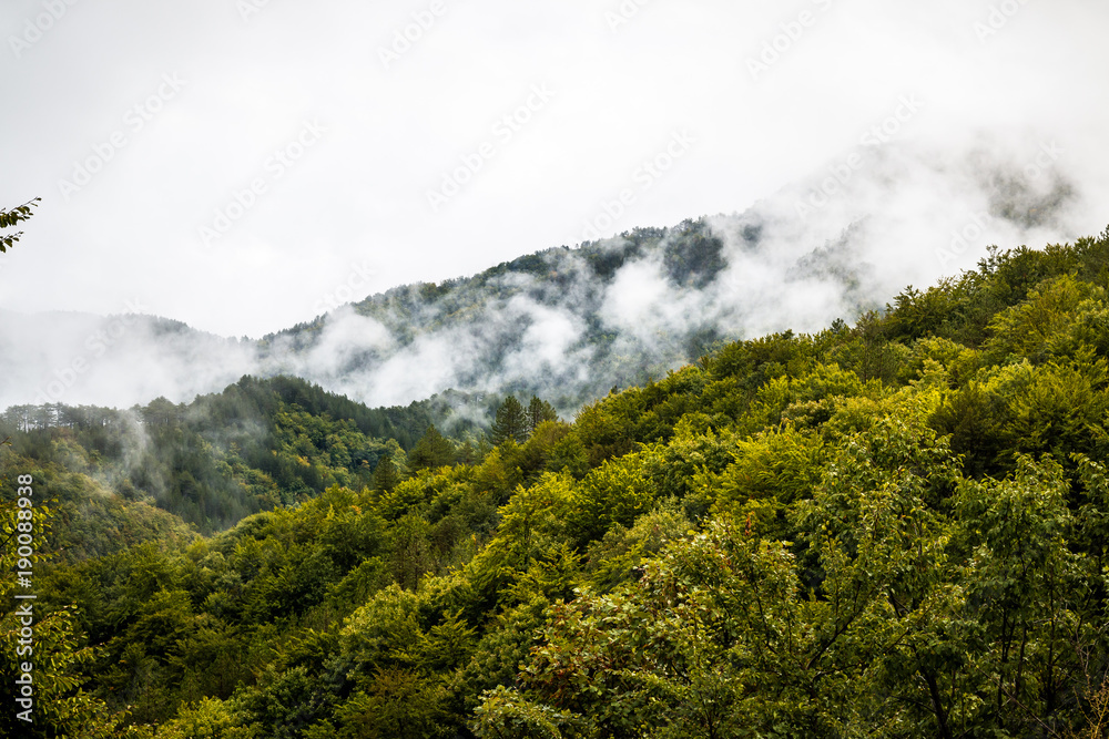 A foggy morning in the mountains of Bosnia. 